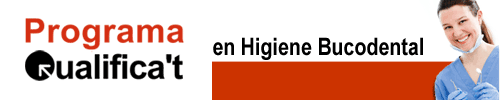 Programa Qualifica't